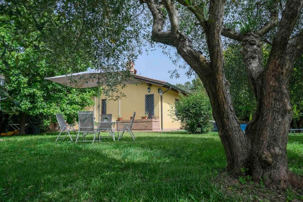 Villa Luxury Pool & Garden Piza Zewnętrze zdjęcie