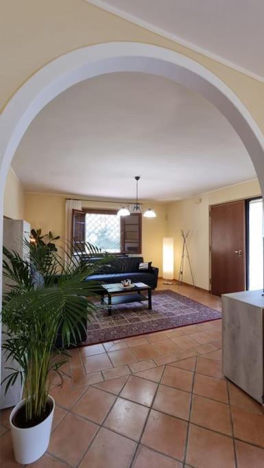 Villa Luxury Pool & Garden Piza Zewnętrze zdjęcie