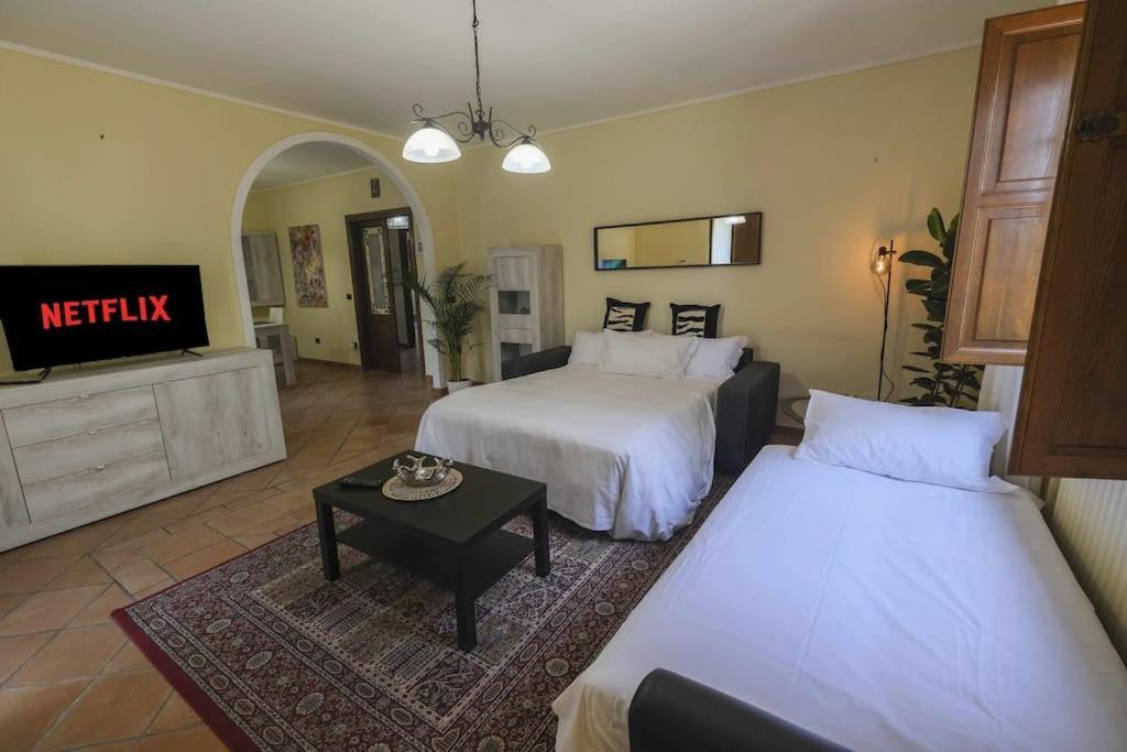 Villa Luxury Pool & Garden Piza Zewnętrze zdjęcie